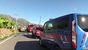 Alanya'da Çalılık Yangını