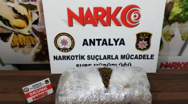 Antalya'da 9.5 Kilo Skunk Ele Geçirildi