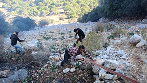Antalya'da Sarp Arazide Çıkan Yangında Hortum Taşıma Seferberliği