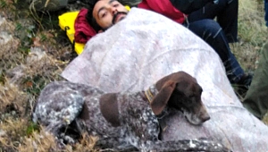 Av Köpeğinden Dost Fedakarlığı