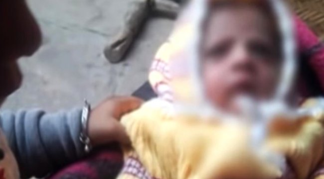 Hindistan'da Bir Maymun 12 Günlük Bebeği Öldürdü