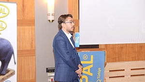 Palet Havuzu Kuruluyor