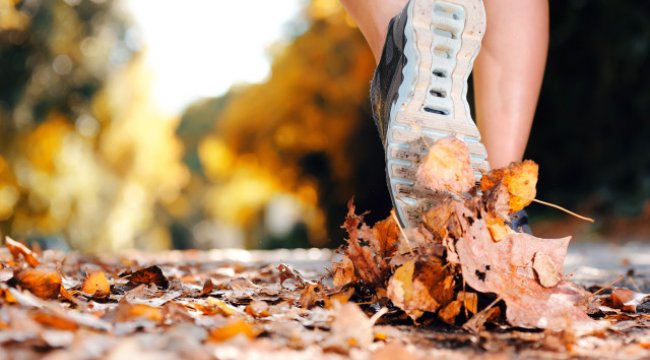 Spor Yapmak Damar Sağlığına İyi Geliyor!