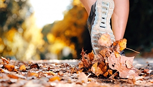 Spor Yapmak Damar Sağlığına İyi Geliyor!