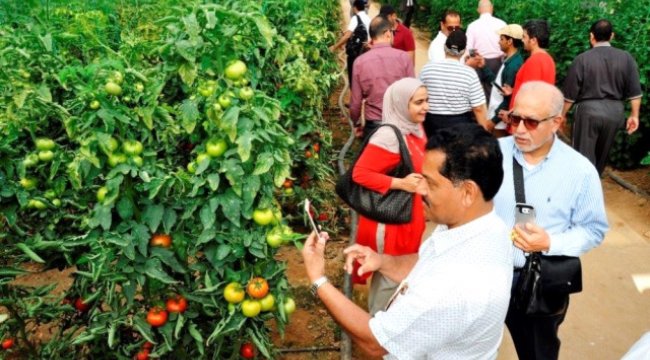 Uluslararası Yaş Sebze ve Meyve İhracatçıları Zirvesi Serik'te Başlıyor
