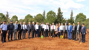 Orman'a Bin 300 Fidan Dikildi!