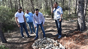 Ormandaki Mezardan Köpek çıktı