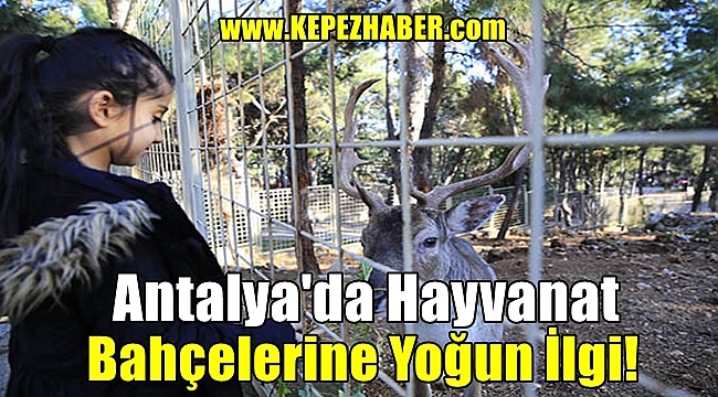 Antalya'da Hayvanat Bahçelerine Yoğun İlgi!