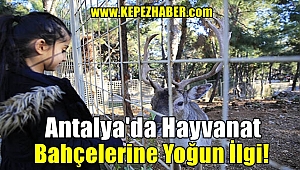Antalya'da Hayvanat Bahçelerine Yoğun İlgi!