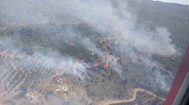 Manavgat'ta dehşet verici orman yangını