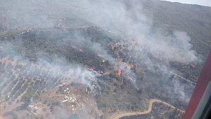 Manavgat'ta dehşet verici orman yangını
