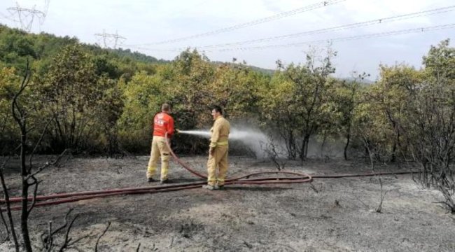Gebze'de orman yangını! 10 dönüm zarar gördü
