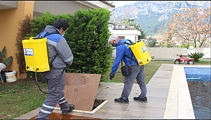 Antalya Büyükşehir Belediyesi Sinek Mücadeleye Devam Ediyor