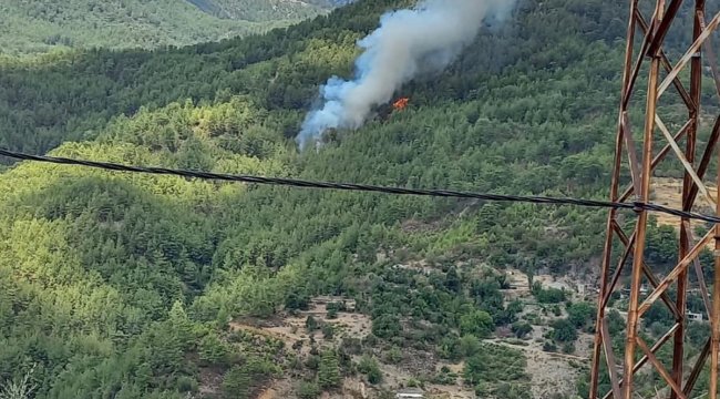 Antalya'dan Sevindiren Haber! Yangın Kontrol Altında