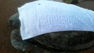 Antalya'da Bulunan Yaralı Caretta Caretta Tedaviye Alındı