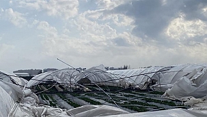 Hasat Yapılacak Seralar Yerle Bir Oldu!