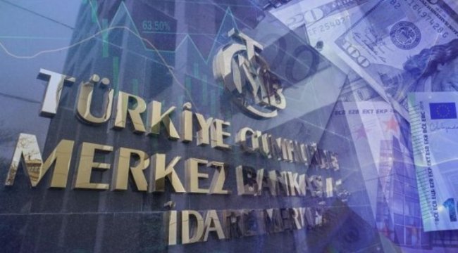 Merkezin rezervleri 113,7 milyon dolar oldu