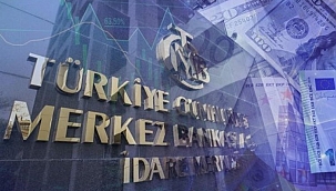 Merkezin rezervleri 113,7 milyon dolar oldu