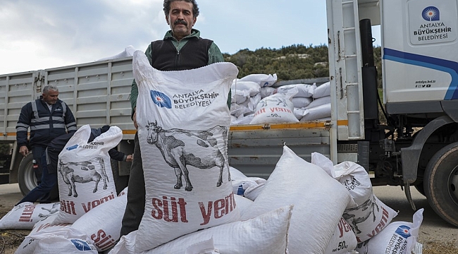 Antalya'da Büyükbaş Hayvan Yetiştiricilerine Hibeli Süt Yemi Desteği