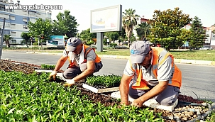 Antalya'da 2 Milyon Yazlık Çiçek Toprakla Buluşuyor
