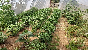 Kırsal Bölgelerde Su Kıtlığı ve Çözüm Önerileri