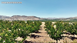 Korkuteli Sülekler Mahallesi'nde Güneş Enerjisi Devrimi