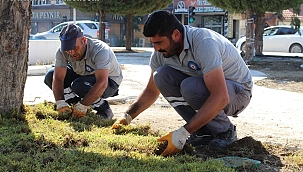 Antalya'da Park ve Yeşil Alanlara Bakım