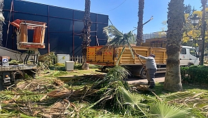 Kepez'de Bahar Hazırlıkları Başladı