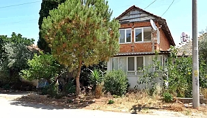 Antalya'da 25 Kedi ve 2 Köpek Kurtarıldı