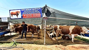 Kepez'de Bayram İçin 9 Kesim Alanı Hazırlandı