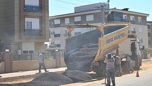 ÇEKÜL'den uyarı: Yanan alanlarda fidan için bekleyin