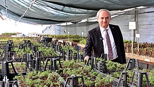 Kepez'den Doğaya Dost Kurakçıl Peyzaj Hamlesi