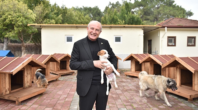 Kepez'de Patili Dostlara Sıcacık Dokunuş: Yeni Yuvalar Kuruldu