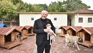 Kepez’de Patili Dostlara Sıcacık Dokunuş: Yeni Yuvalar Kuruldu