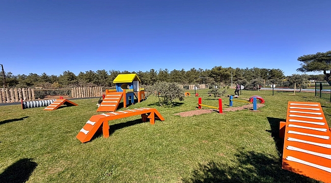 Kepez'de Pati Park Açıldı: Can Dostlara Özel Alan