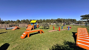 Kepez'de Pati Park Açıldı: Can Dostlara Özel Alan