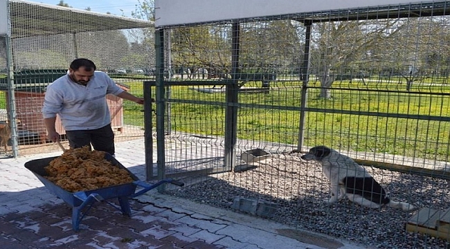 Konyaaltı'nda Sokak Hayvanlarına Sıfır Atık Desteği